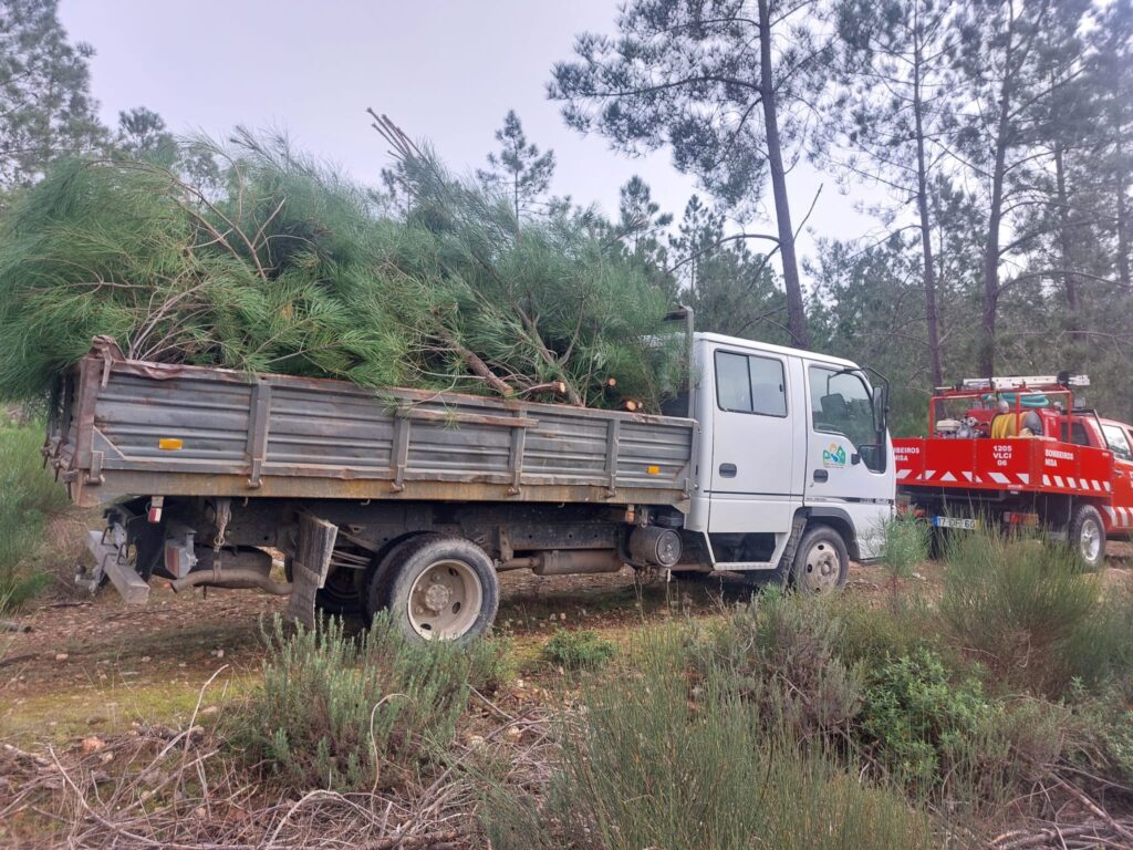 Read more about the article #1205# BV Nisa Sempre em prol da segurança de todos nós.